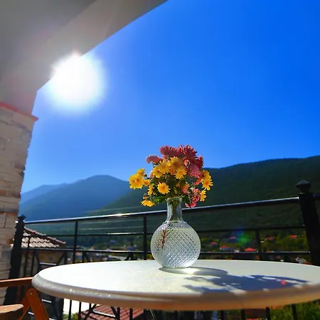 Artemis Traditional 3*