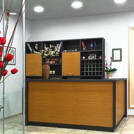 Ξενοδοχείο Artemis Traditional Λεβίδι